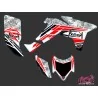 Kit Déco Quad Spirit Honda 450 TRX (2006-2007)