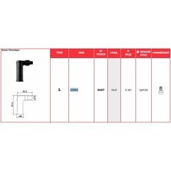 ANTIPARASITE NGK L05EA