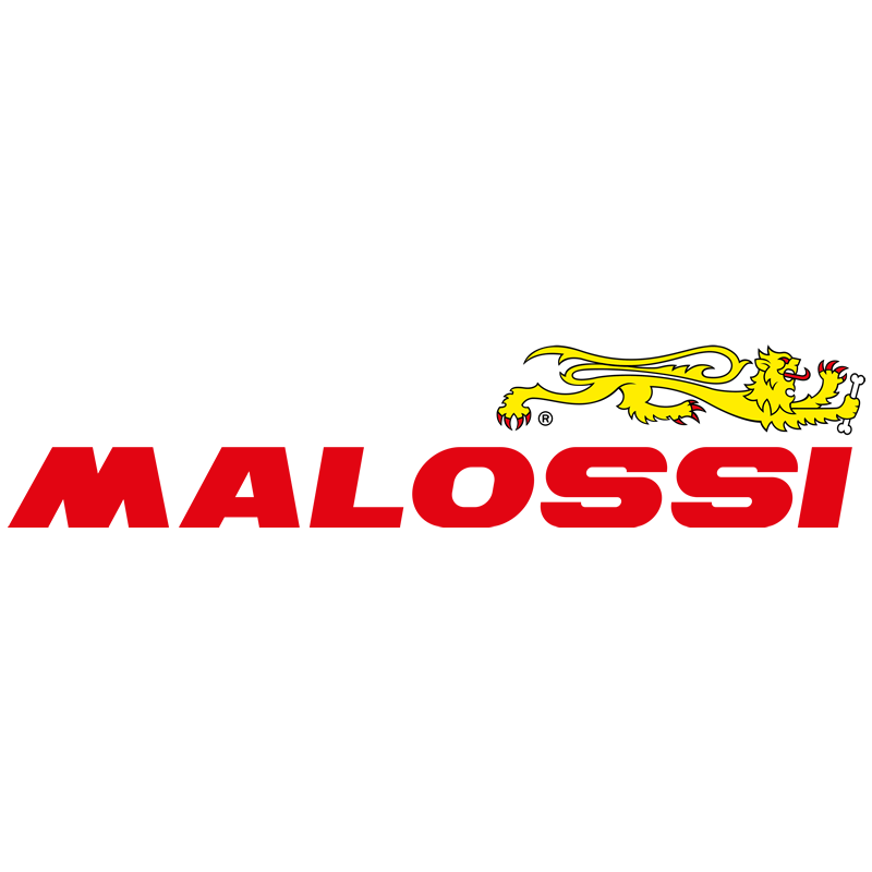 Malossi